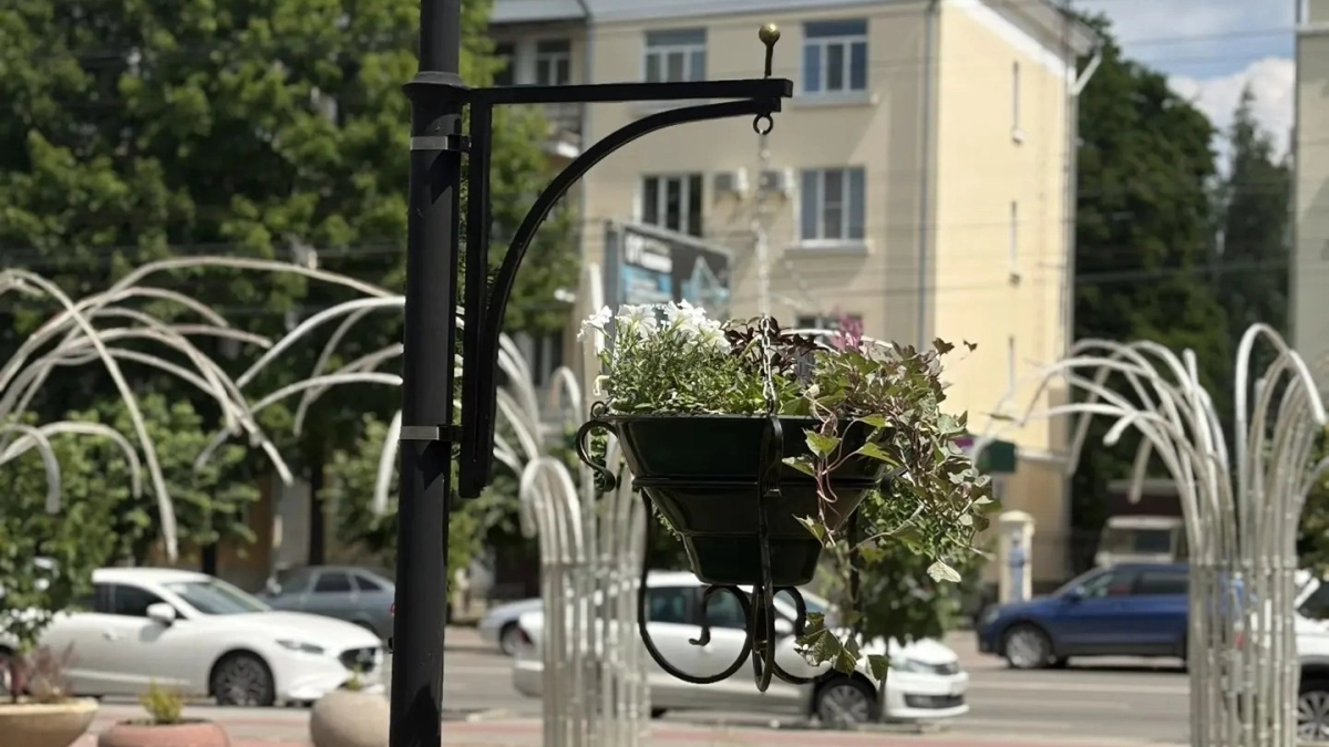 В Тамбове установили 50 новых подвесных кашпо в городских скверах