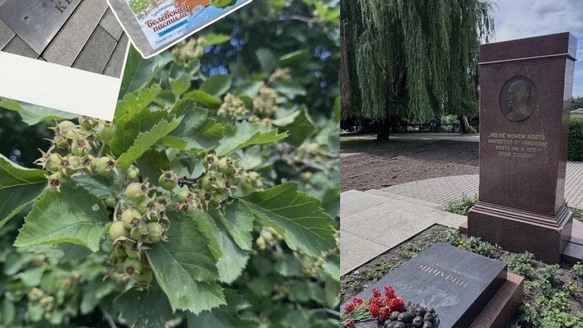 Телеведущая Яна Чурикова назвала Мичуринск "новой Коломной" после поездки в город