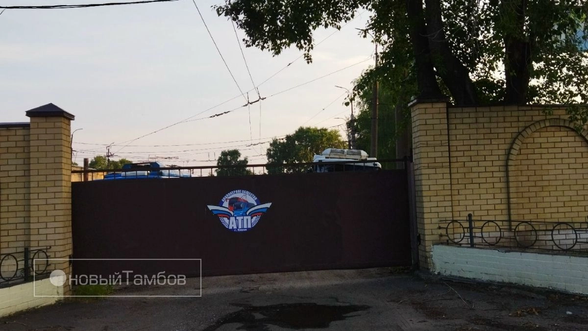 Главой тамбовской фирмы похищено 1,8 миллиона рублей
