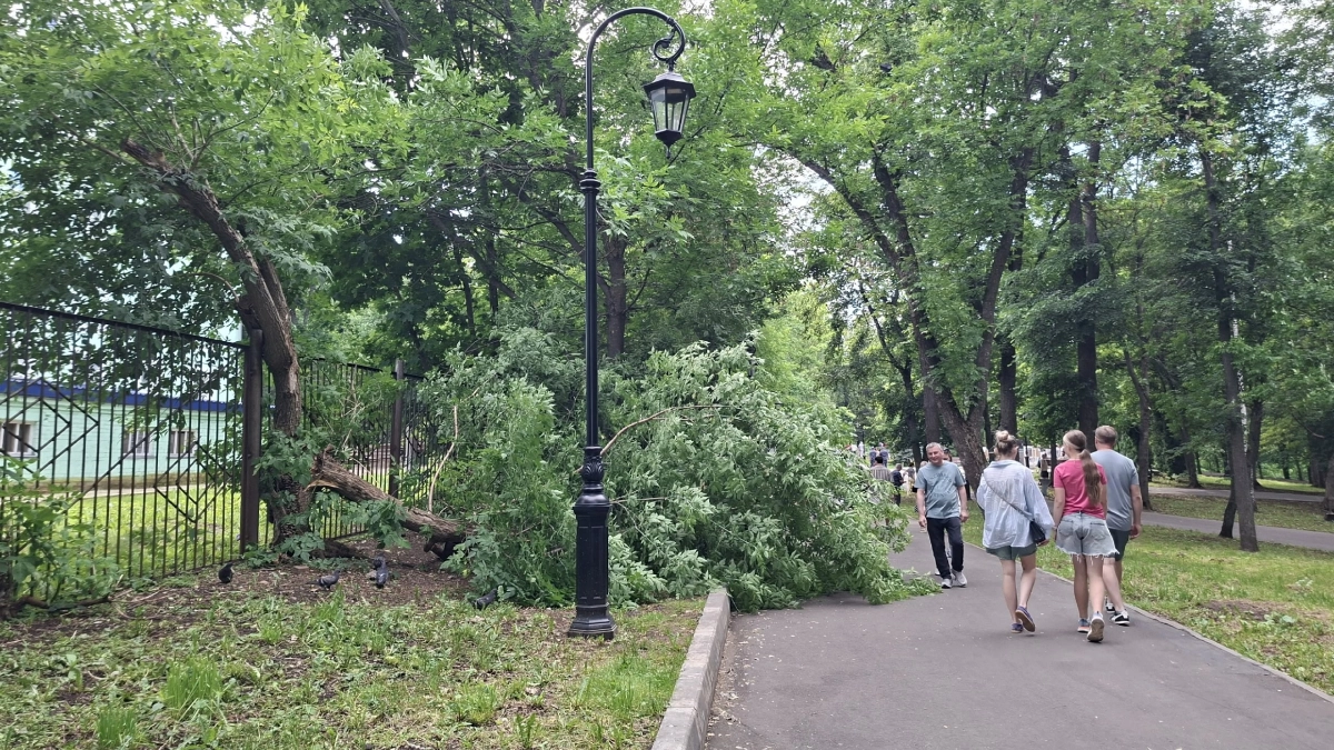 Им не нужны доказательства: 5 знаков зодиака, которые чувствуют обман за 10 секунд