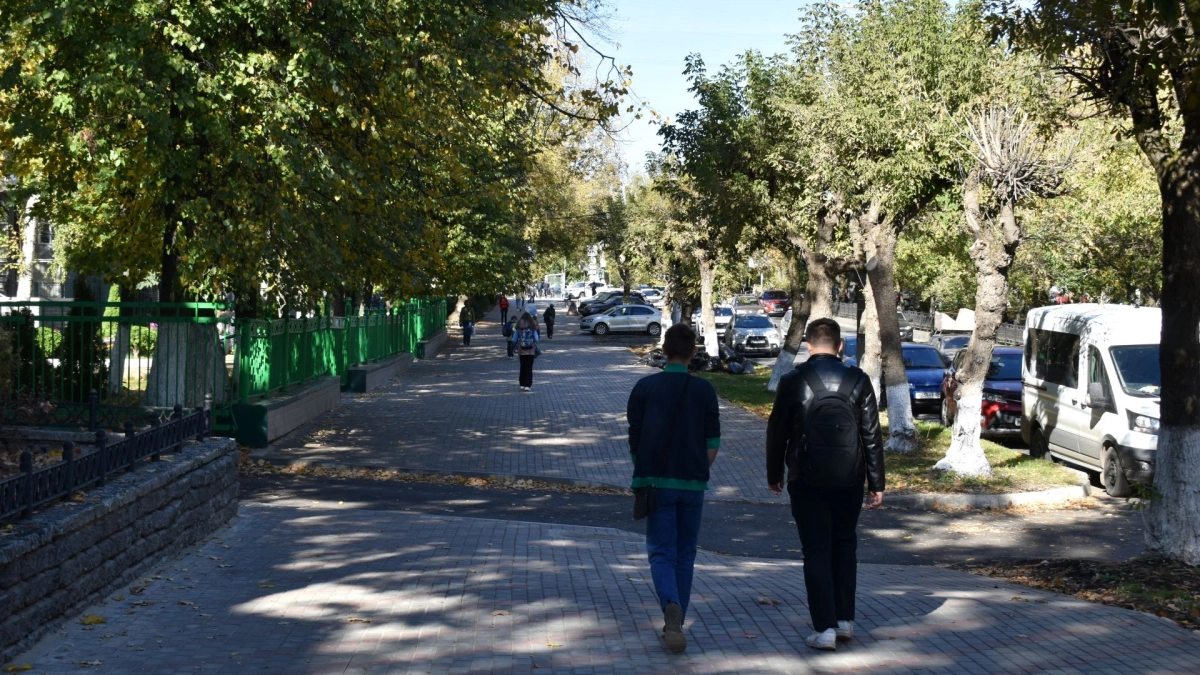 "А вы точно учились в школе?": тест за 6-й класс, который ставит в тупик 9 из 10 взрослых