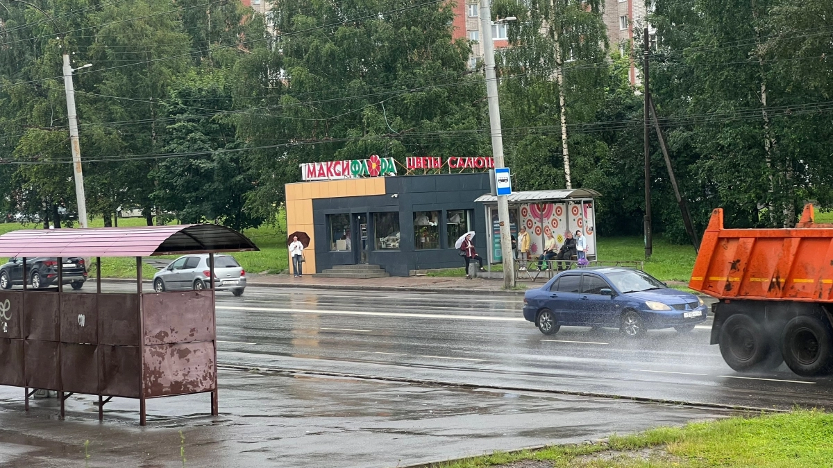 Лето 2026 сошло с ума: жара, ливни и снова жара — что происходит с погодой