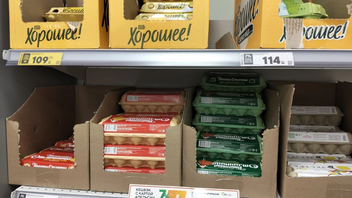 Дороже — не значит лучше: почему я перестала покупать яйца категории С0