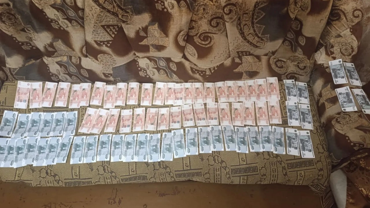 Жительницу Инжавинского округа осудили за хищение 400 тысяч рублей у матери участника СВО