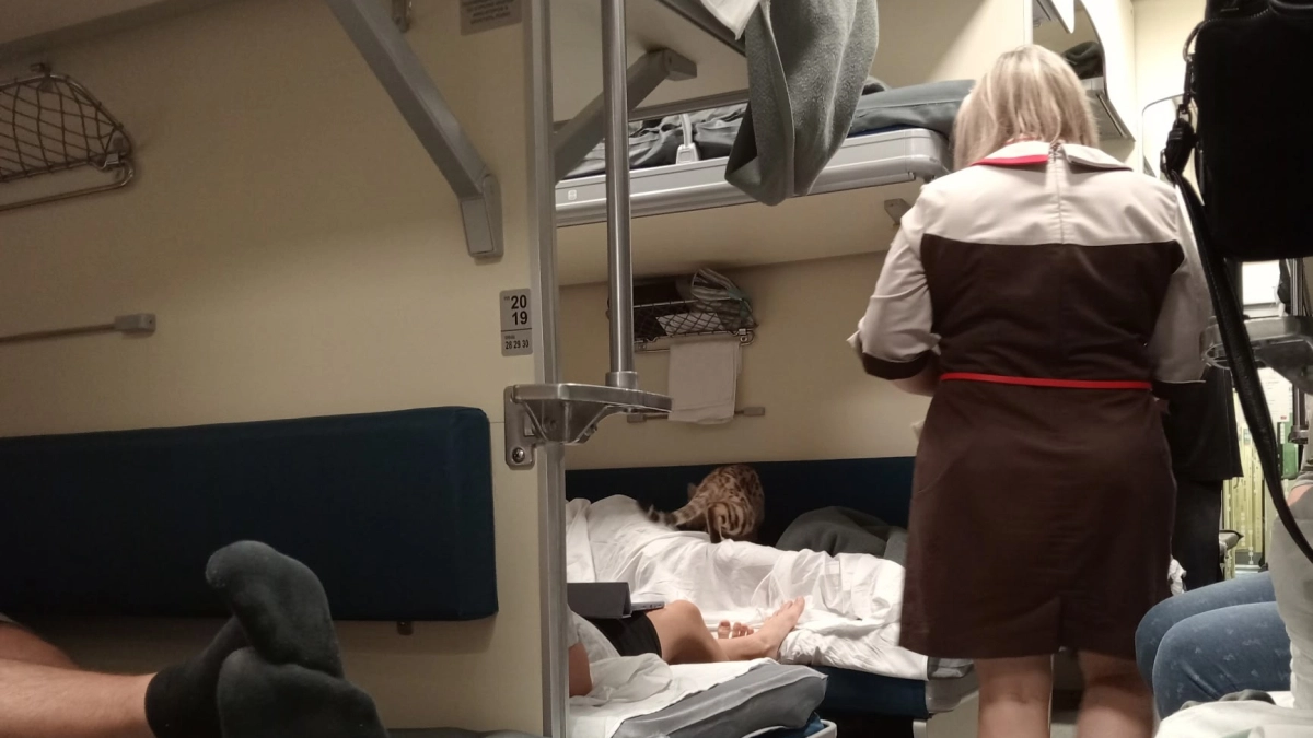 Когда проводник поезда может заставить пассажира уступить нижнюю полку - и будет прав