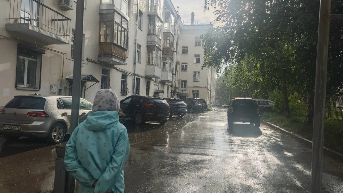 Синоптики предупреждают жителей Тамбова о ливнях и усилении ветра