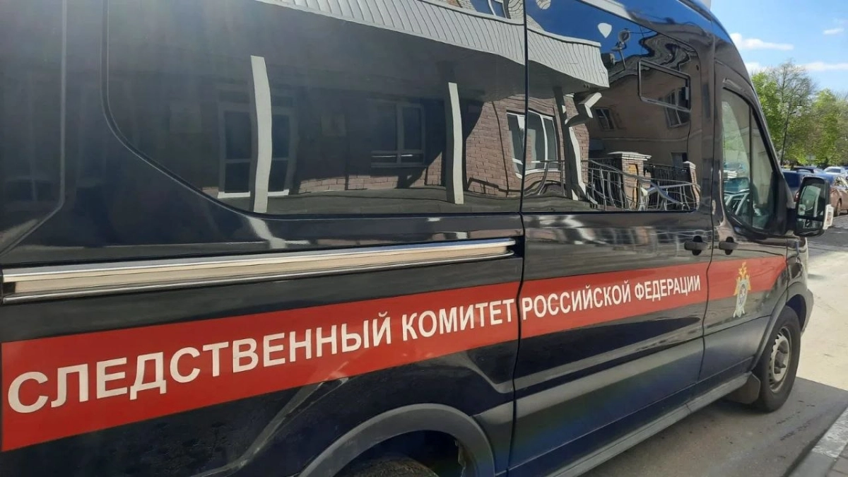 Жителя Ржаксы отправили под арест по делу о нападении на полицейского