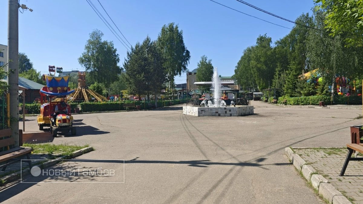 2 августа в Тамбовской области ожидается жаркая погода без осадков