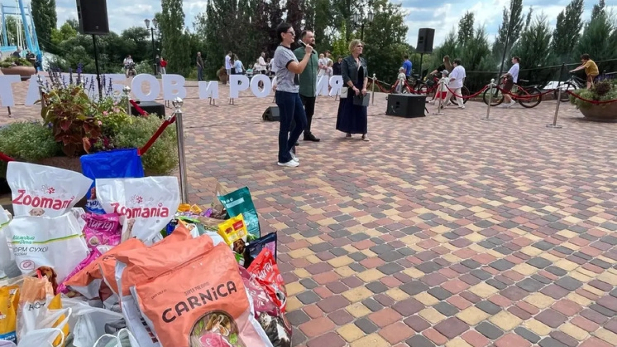 Благотворительный концерт в Тамбове помог собрать 300 килограммов корма для бездомных животных