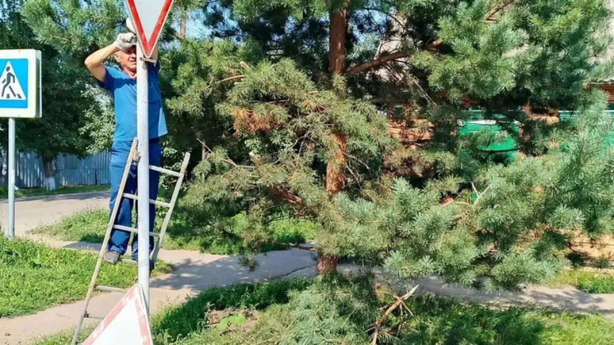 В Тамбове к 1 сентября обновляют дорожные знаки возле школ и детских садов