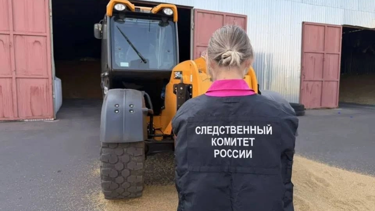 Смертельный инцидент произошел на территории элеватора в Сампурском районе