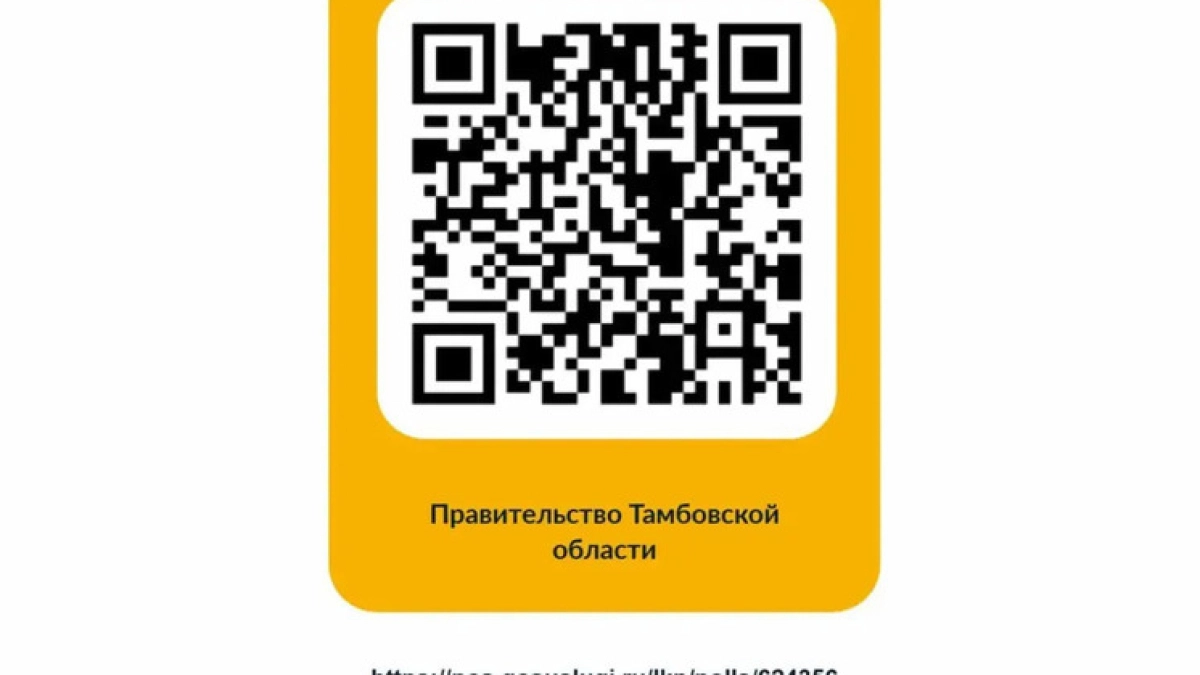 Автомобилистов Тамбовской области просят высказать мнение о новом формате реализации горючего