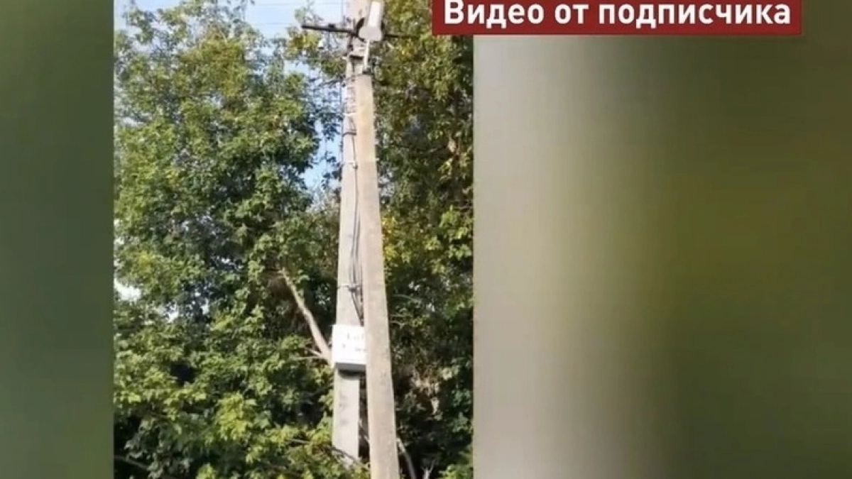 В Тамбовском селе Горелое высоковольтные провода искрят в деревьх