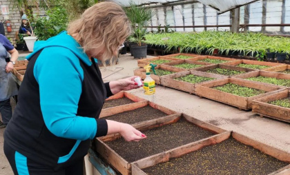 В городской теплице высадили уже 850 тысяч семян цветов для весеннего озеленения